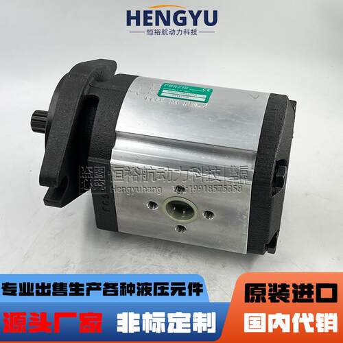 罗茨液压泵RONZIO齿轮泵03ZBG90B347DN 03ZBG50L348D 03ZAG30Q064