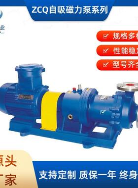 现货供应ZCQ自吸磁力泵不锈钢耐腐蚀无泄漏自吸磁力驱动泵 厂家直