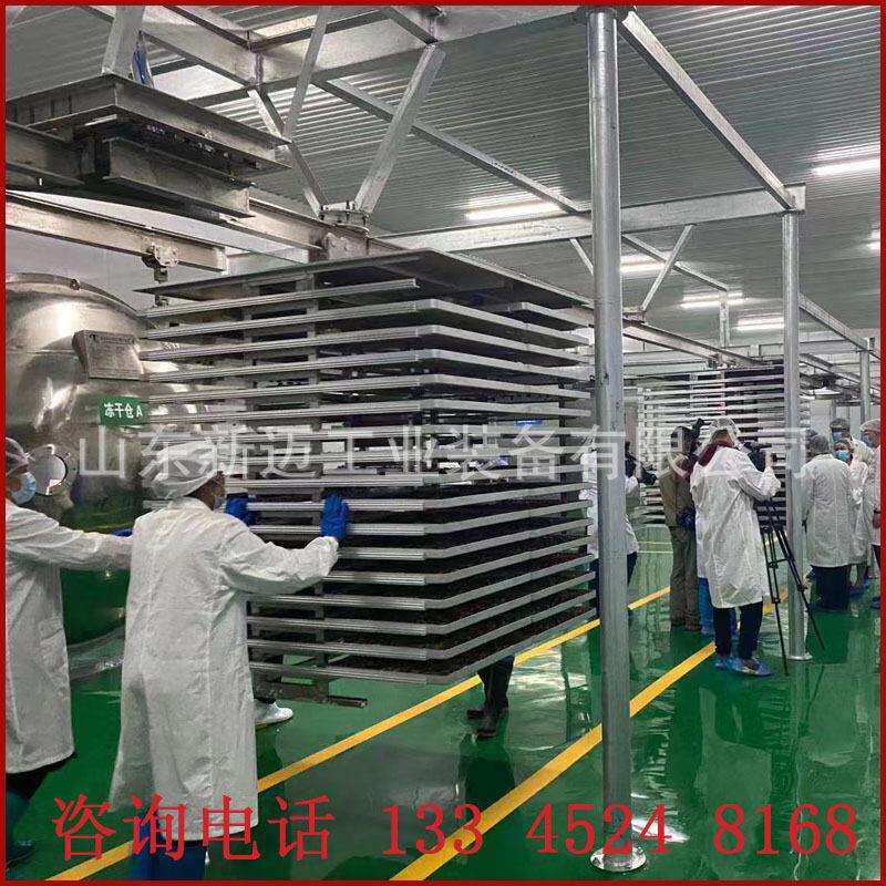 草莓脆真空冻干机榴莲真空干燥设备果蔬脆片10平真空冷冻干燥