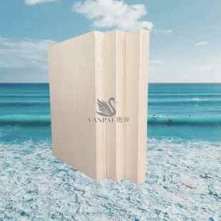 BS1088海洋板酚醛防水多层胶合板家具音响模具户外ENF环保