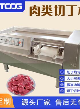 浩通多功能肉类切丁机鲜肉微冻肉切丁切块机不锈钢鸡胸肉切丁设备