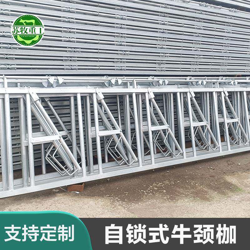 苏牧养牛设备厂家热镀锌材质耐用养殖场用750型牛颈夹防生锈奶牛