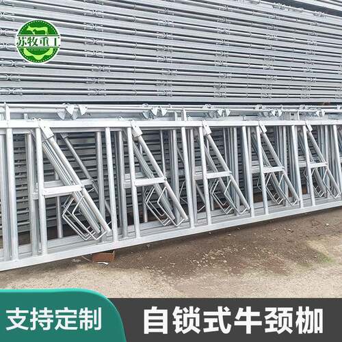 苏牧养牛设备厂家热镀锌材质耐用养殖场用750型牛颈夹防生锈奶牛