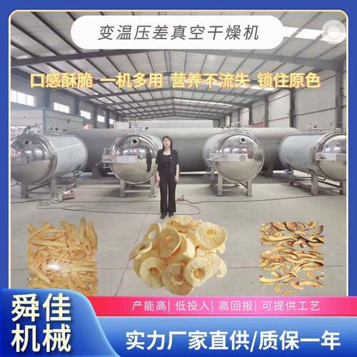 非油炸葡萄干压差膨化干燥设备苹果脆片变温真空干燥机果蔬膨化机