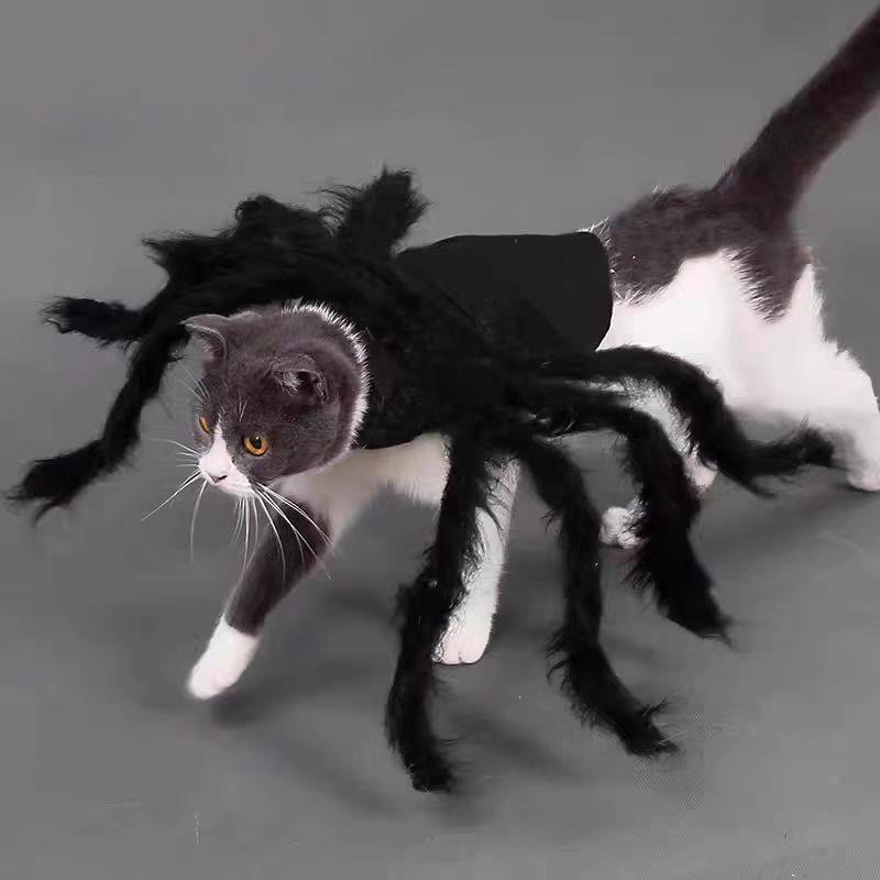 猫咪蜘蛛衣服宠物蜘蛛衣小狗猫咪恐怖彷真毛绒蜘蛛变身装派对装扮