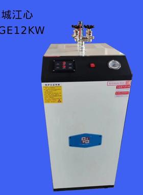 鹿城江心BOGE12KW电加热蒸汽发生器