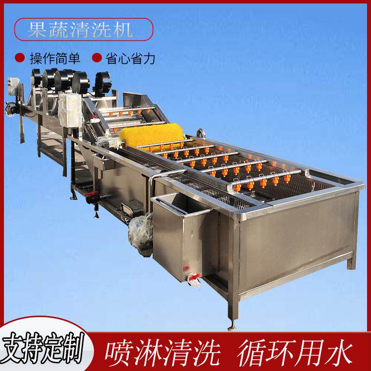 白菜清洗设备 全自动大型山野菜清洗机 工业不锈钢汽泡洗菠菜机器