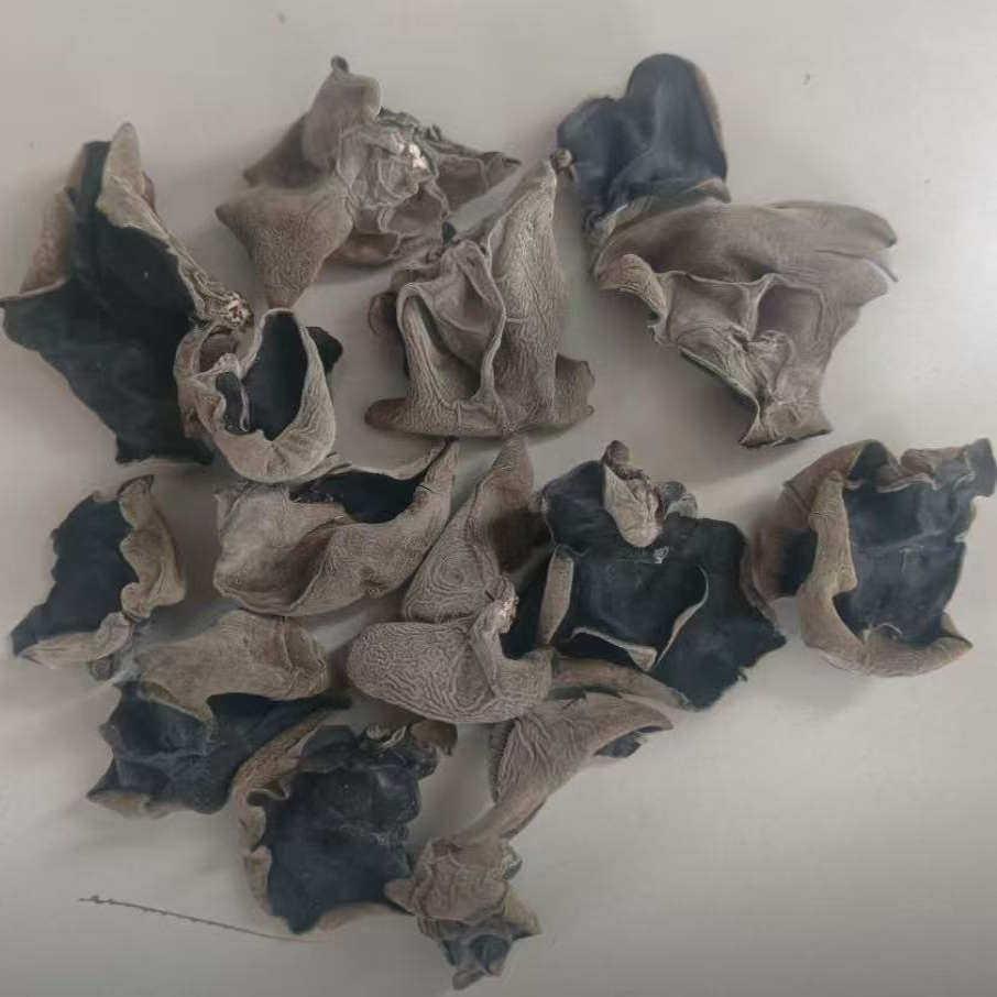 娜小妹东北新货秋木耳无根肉厚头茬木耳干 干货特产黑木耳