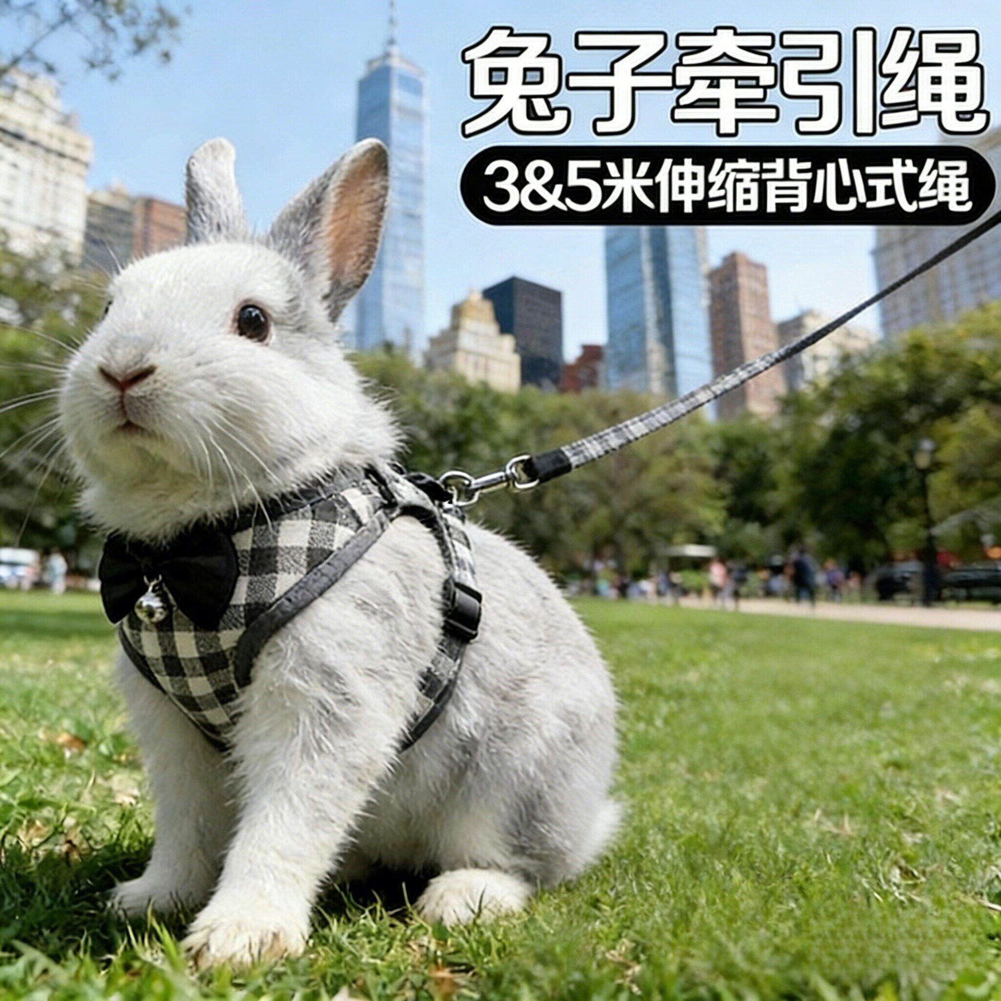 兔子衣服牵引绳外出专用溜兔兔防挣脱遛宠物兔神器可调节拴侏儒兔