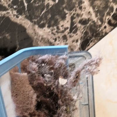 质量对比海尔银悦和可可扫地机器人入手哪款更好，区别优缺点对比揭秘是？