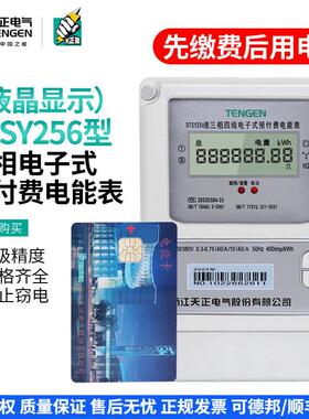 TENGEN天正电气 DTSY256插卡电表三相四线 线电子式预付费电能表3