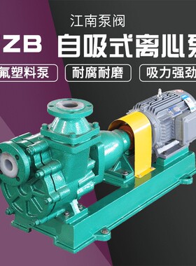 厂家江南100FZB-45浓硝酸输送泵 氟塑料合金泵 电动自吸离心泵