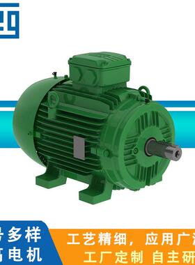WEG万W21Magnet系列永磁电机超性能电机功率5.5W~315W