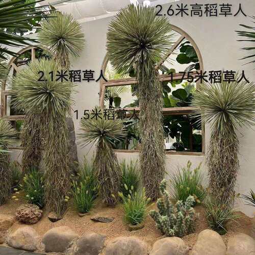 含阳仿真热带沙漠植物沙生植物造景大型落地盆栽稻草人假树盆栽