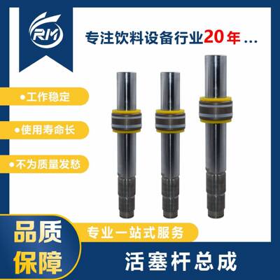 活塞杆总成/RJ14G-100