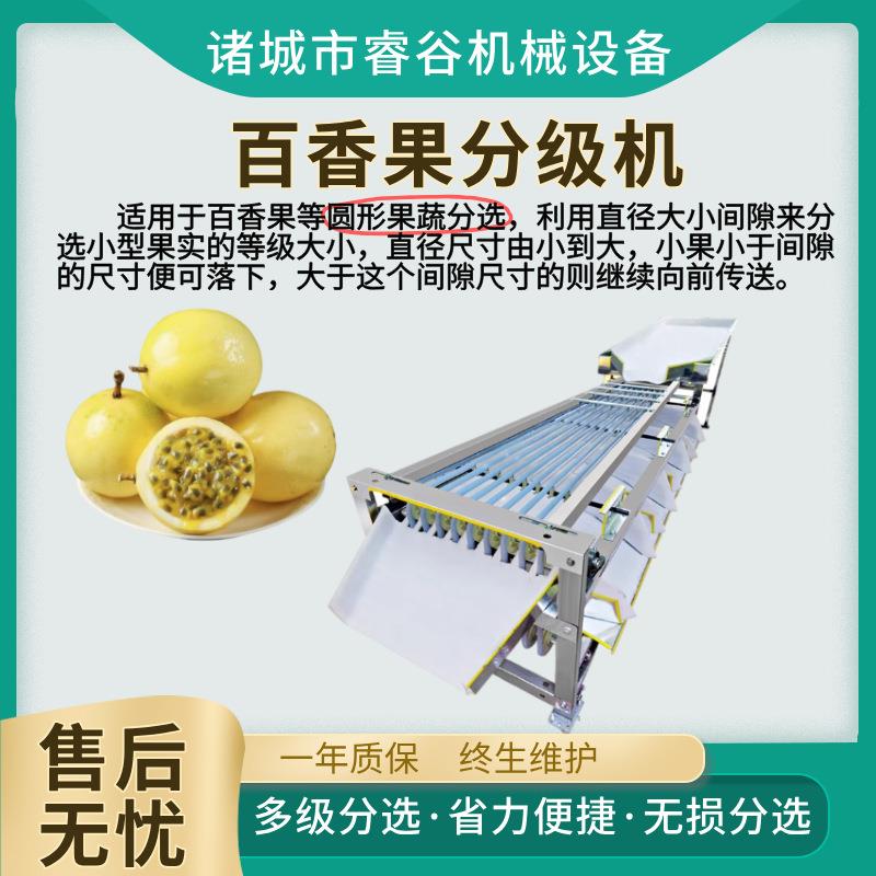 新款百香果分级机商用筛选机机 不锈钢百香果不伤果全自动分选机