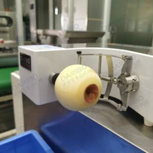 W多型号雪梨电动削皮机苹果橙子刨皮机厂家高速旋转猕猴桃去皮机