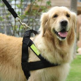 反光宠物牵引绳大型犬中型犬狗绳子狗，链子金毛萨摩胸背带牵引带