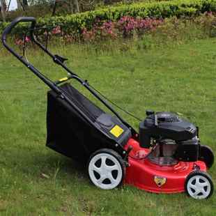 19粉5型柴油割机荒草CTD草果清理碎草机园割草碎机