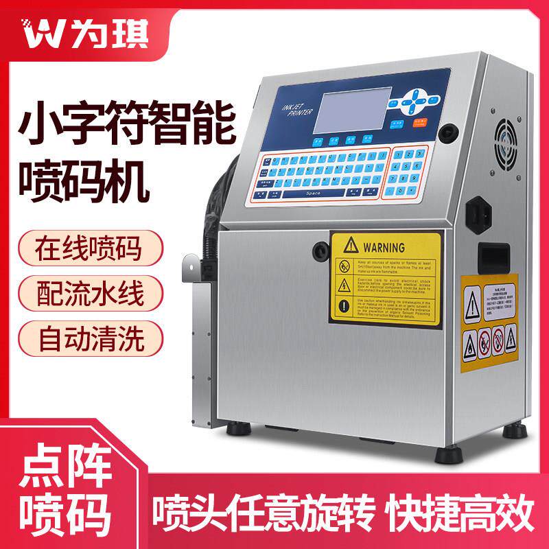 为琪 全自动小字符喷码机打生产日期流水线 线批号流水号打码机雷