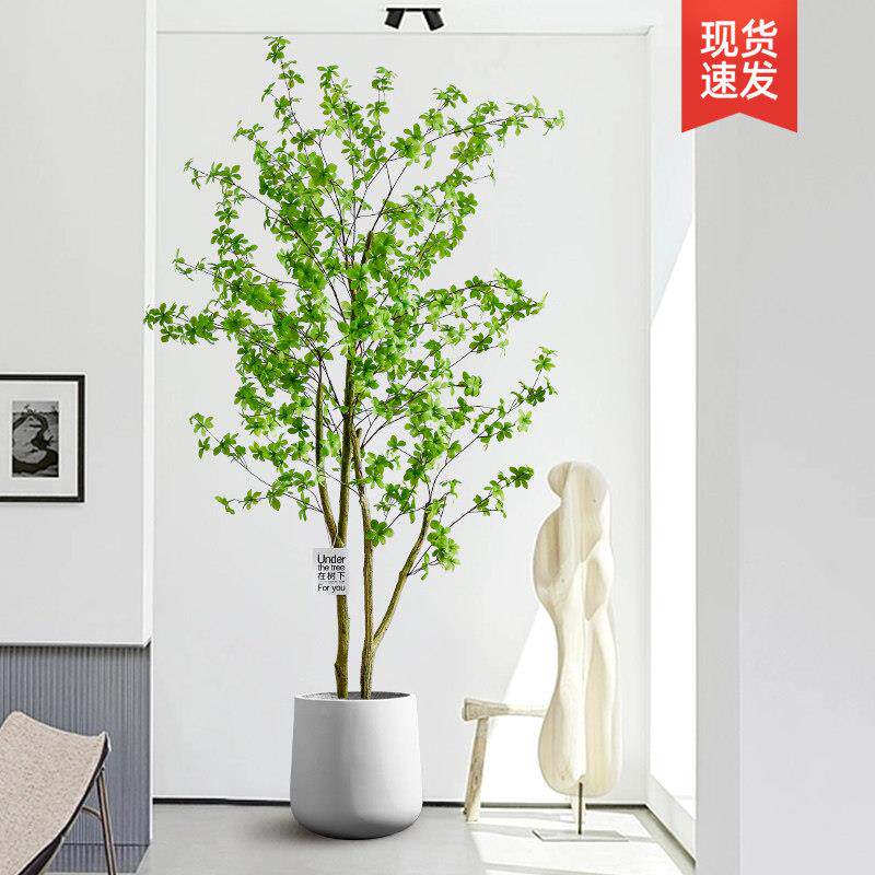 吊钟树彷真绿色植物假植物马醉木室内大型盆栽客厅装饰落地摆件彷