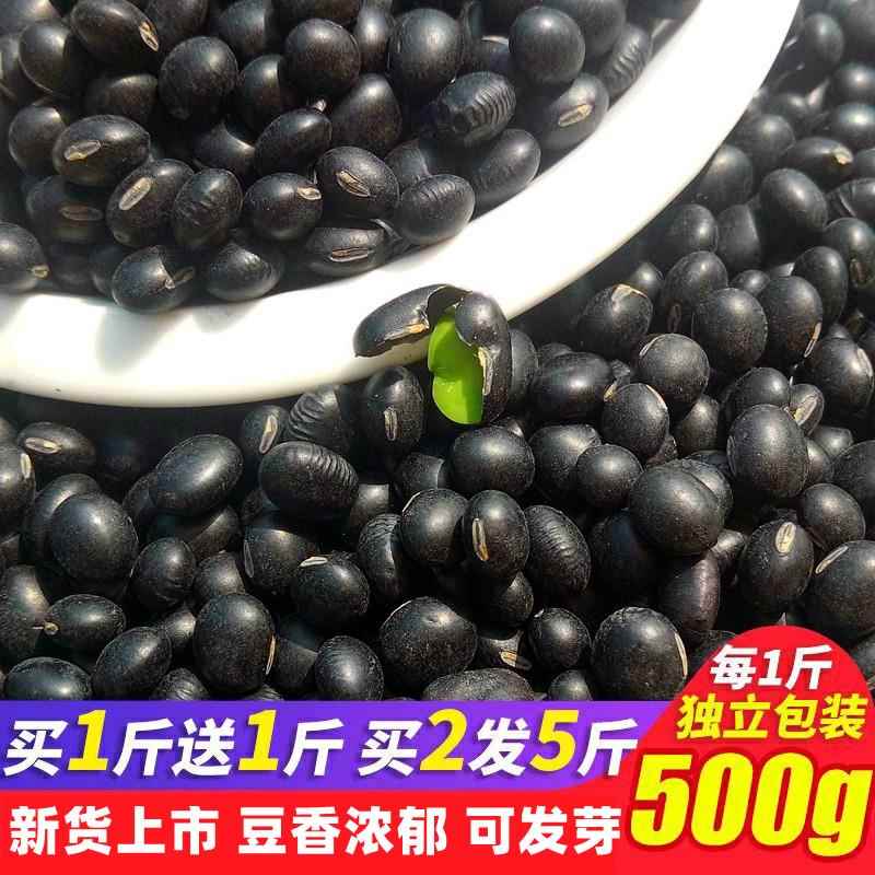 新黑豆青仁绿心黑豆芯农家五谷杂粮备孕豆浆黑小豆醋泡农家种植
