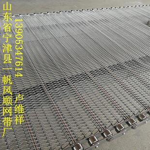 专业定制不锈钢链条式传送网贷 耐温金属网贷 烘干机网链