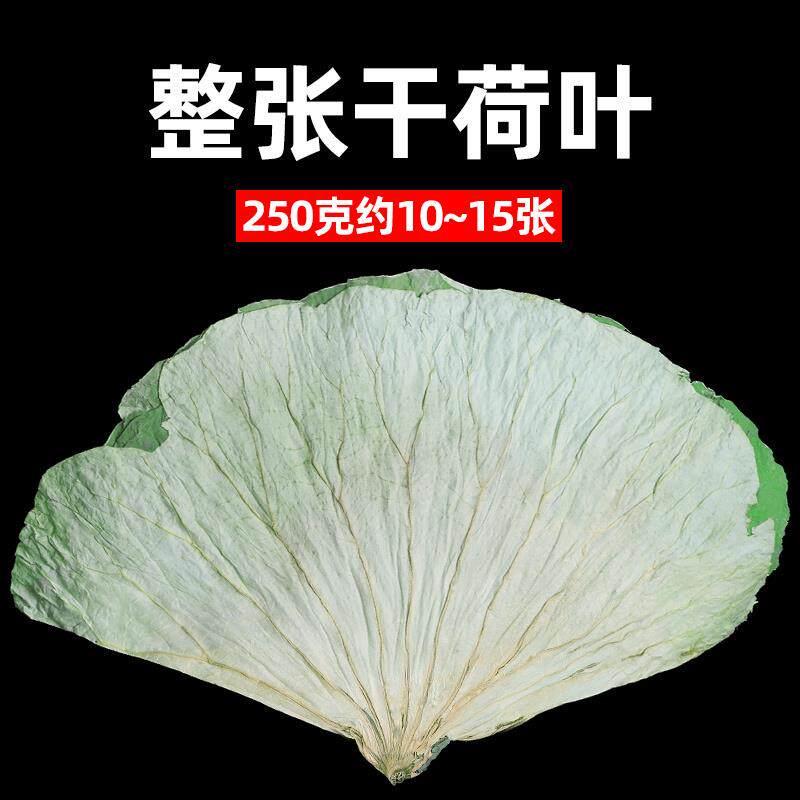 荷叶整张新鲜正品糯米鸡专用叫花鸡黄泥大何叶片熬粥的干荷叶