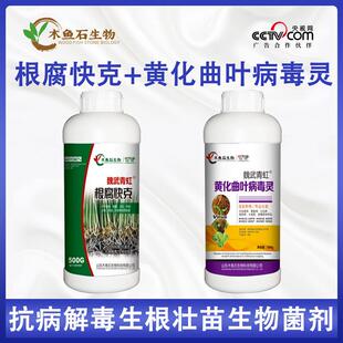 根腐快克黄化曲叶病毒灵甲霜恶霉灵微生物菌剂棉花茎腐病专用药