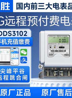 威胜4G单三相程预付费电表DDS3102高精度智能抄表家用物业电能表