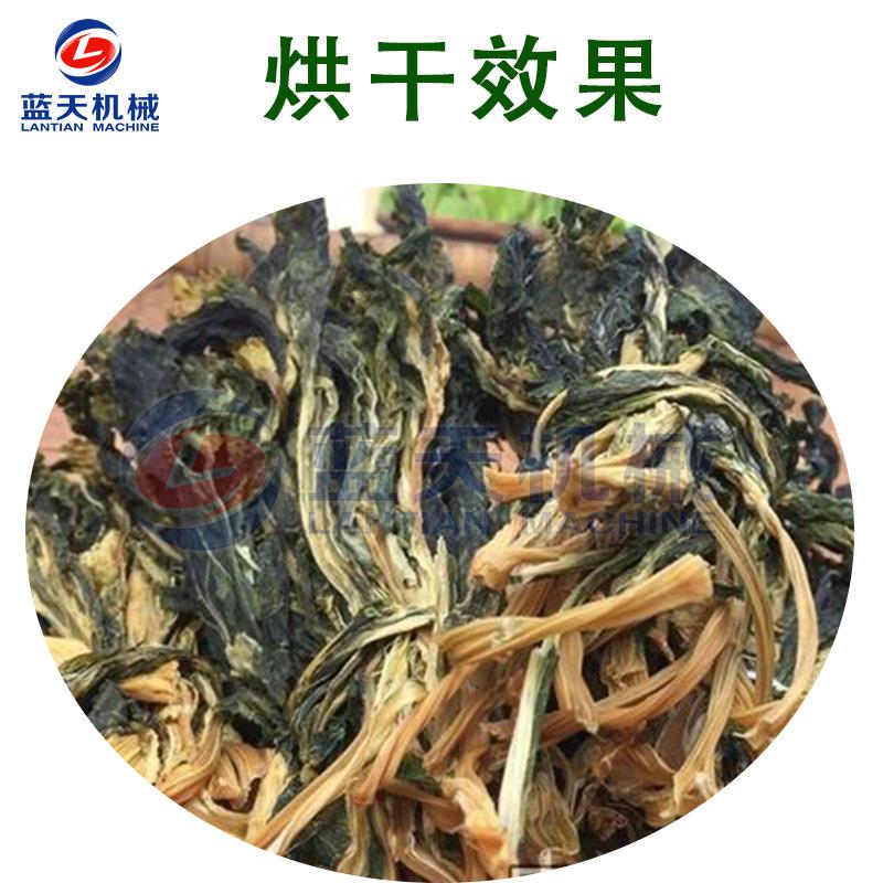 空气能菜苔菜心烘干机 全自动油菜苔脱水烘干箱 大型苔菜烘干设备