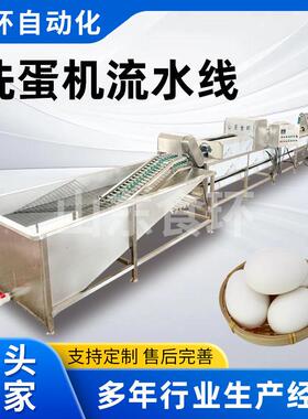 鸡蛋清洗机鸭蛋清洗风干喷油喷码机商用洗蛋机杀菌光检装托设备