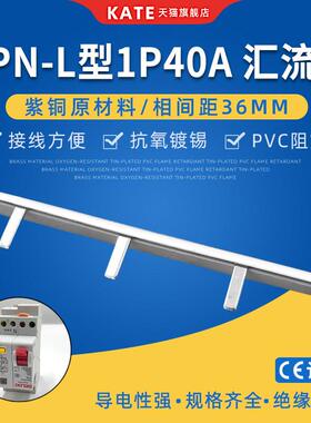 DPN漏电型1P40A电气汇流排紫铜 36mm间距接线排DZ267LE空开连接排