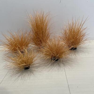 彷真草团草垛枯草秋色灌木丛菖蒲草洋葱草景观软装造景拍摄道具