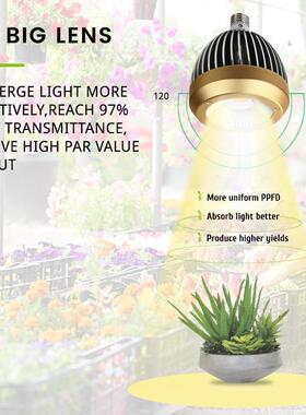 工厂模铝合鳍片P私AR灯AGK植物灯金仿太阳光多肉生花果植物长灯