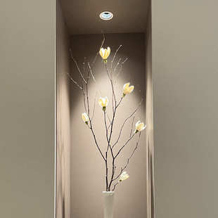 北欧玉兰花长枝干花大号花束落地天然干树枝手工干花开放格玄关柜