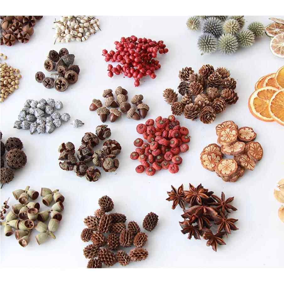 松果装饰圣诞树野生松塔干花树枝幼儿园松果手工diy真干果实材料