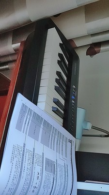专业评测Roland罗兰电钢琴FP10怎么样?用过说下实情真相
