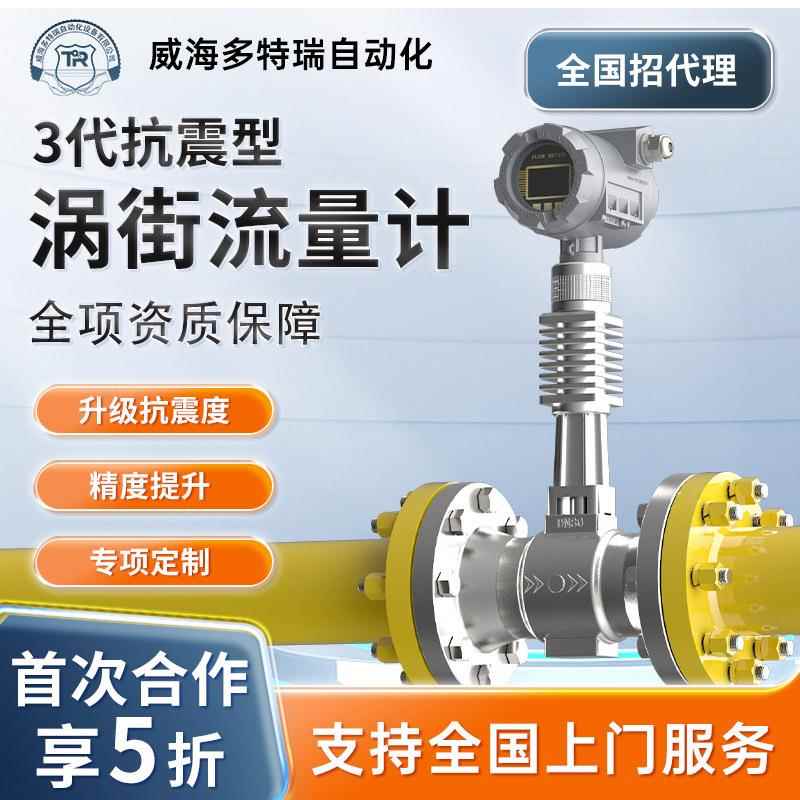 厂家生产抗震涡街流量计一体化温压补偿蒸汽计量表dn50数显