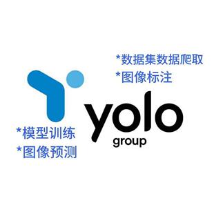 yolo数据爬取、图像标注、模型训练、图像预测、可视化界面代做