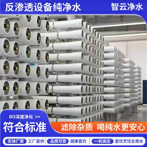 原水处理设备反渗透水处理设备学校食堂饮用水设备反渗透纯水机