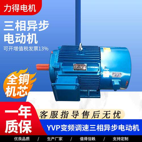 YVP-200L-4-30KW变频调速三相异步电动机 铸铁电动机 立卧式电机