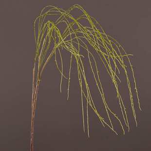 仿真家居装饰柳枝仿真花插树枝仿真道具垂柳花摆件瑾兰假批发大花