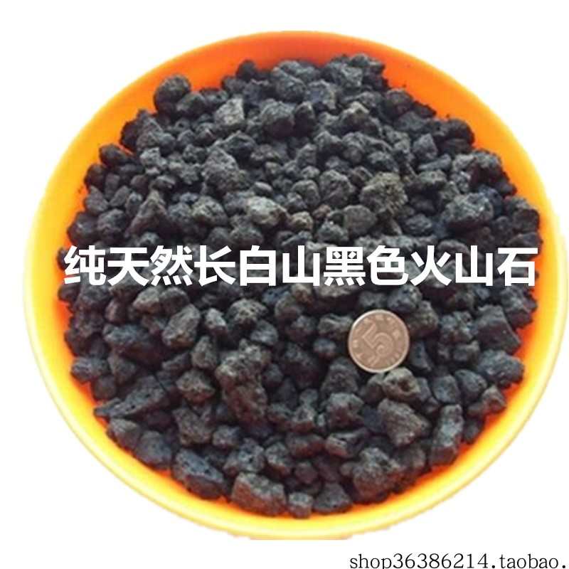 长白山黑色火山石岩水族过滤材养兰多肉鱼缸苏虾室铺底砂盆景10斤