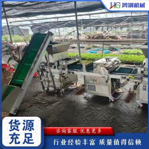 全自动穴盘育苗播种机 蔬菜花卉种子装土压穴点播机 针吸式育苗机