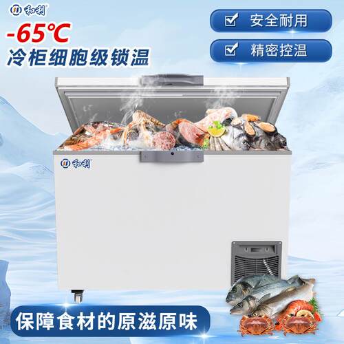 超低温冰柜水产商用-60度家用卧式海鲜蔬菜肉冷藏箱低温酒店冰箱