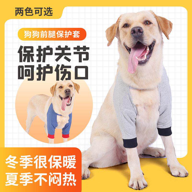 宠物护膝狗狗衣服护肘狗护腿护具防寒保暖狗加厚保暖