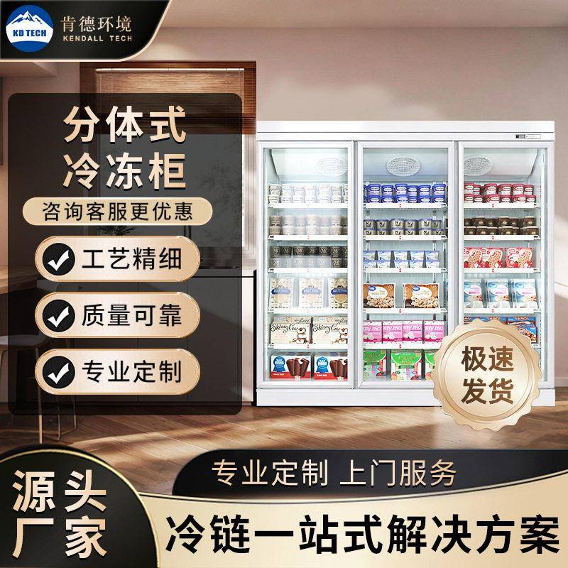 跨境商用冷冻展示柜急冻肉类榴莲雪糕超市立式冷柜双玻璃门冰柜