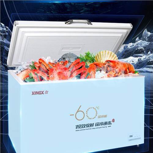 DW-60度W20商用超微低0温冰柜 -60深冷速冻急冻冰707箱霜冷柜
