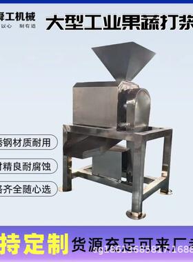 枇杷去皮去核打浆机山楂樱桃沙棘果压榨原浆机大型工业果浆机